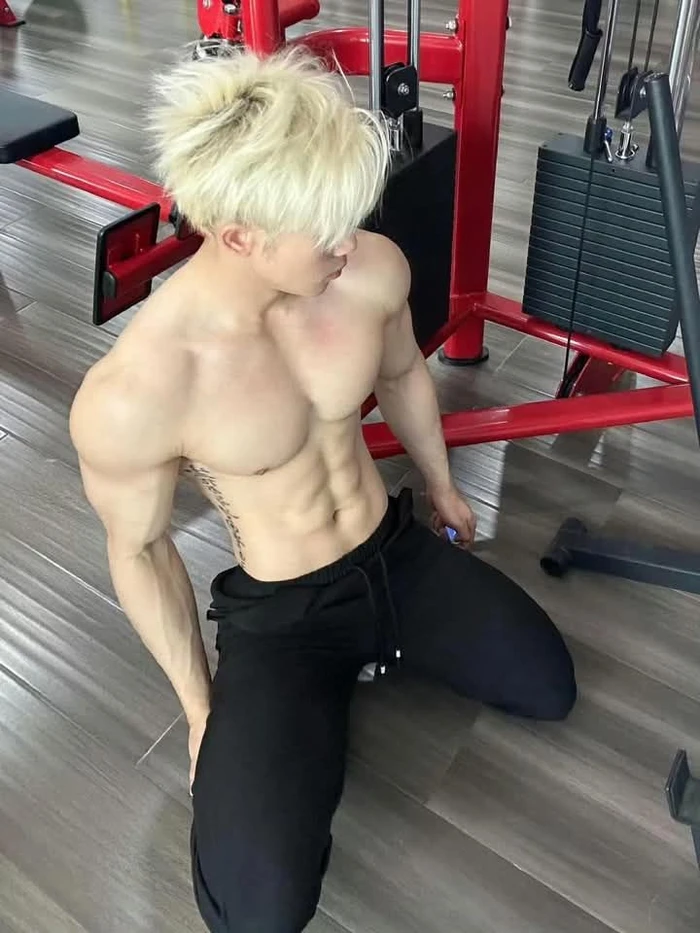 mẫu nam việt 6 múi