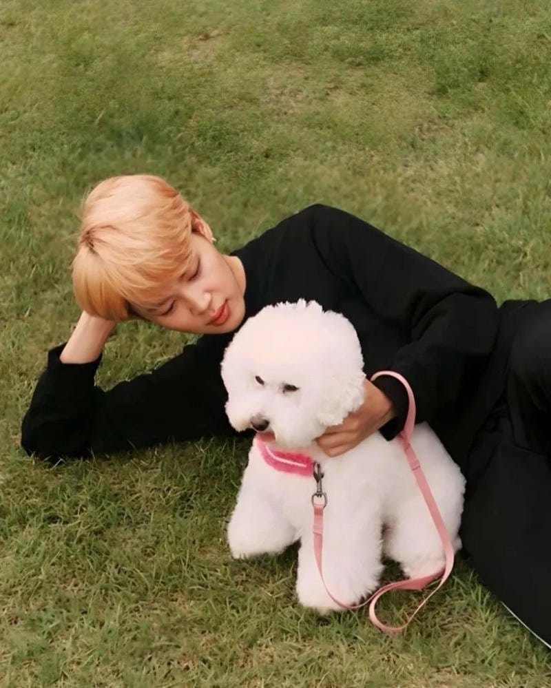 Bộ ảnh jimin sắc nét