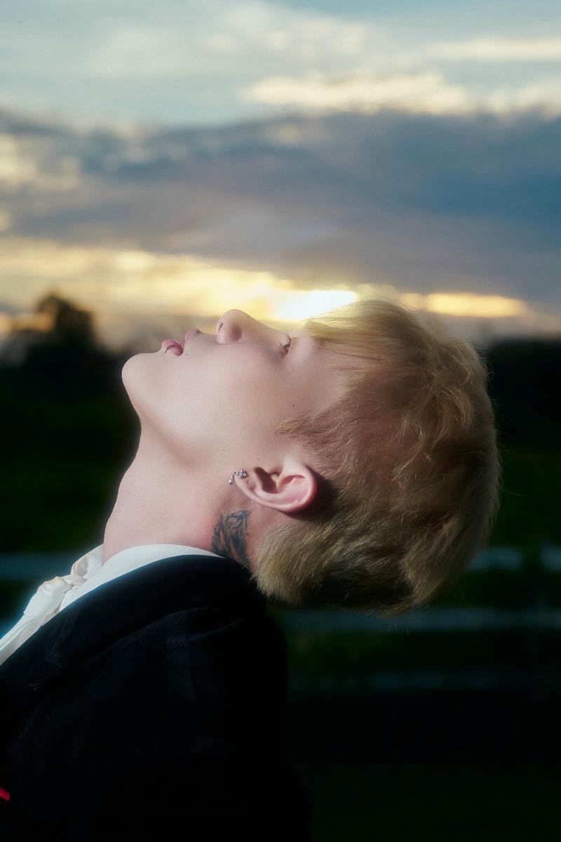 Bộ sưu tập hình ảnh jack mới nhất