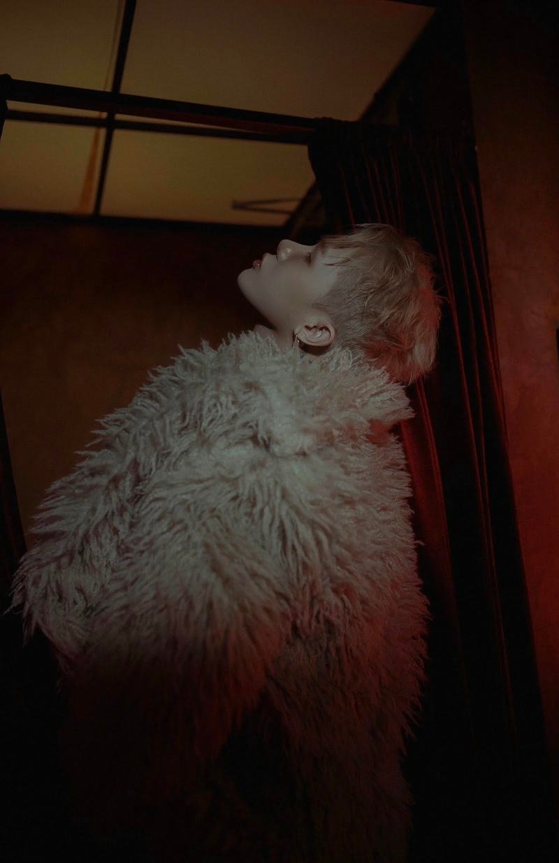 Khám phá hình ảnh jack cuốn hút