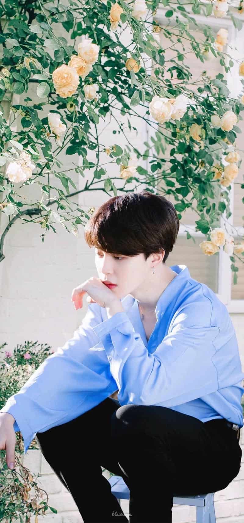 Khám phá hình ảnh jimin cuốn hút