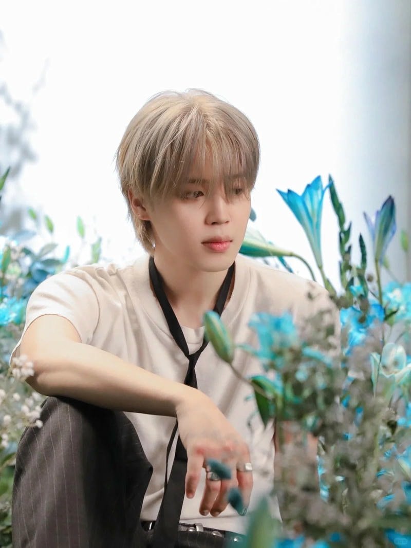 Loạt ảnh jimin chất lượng