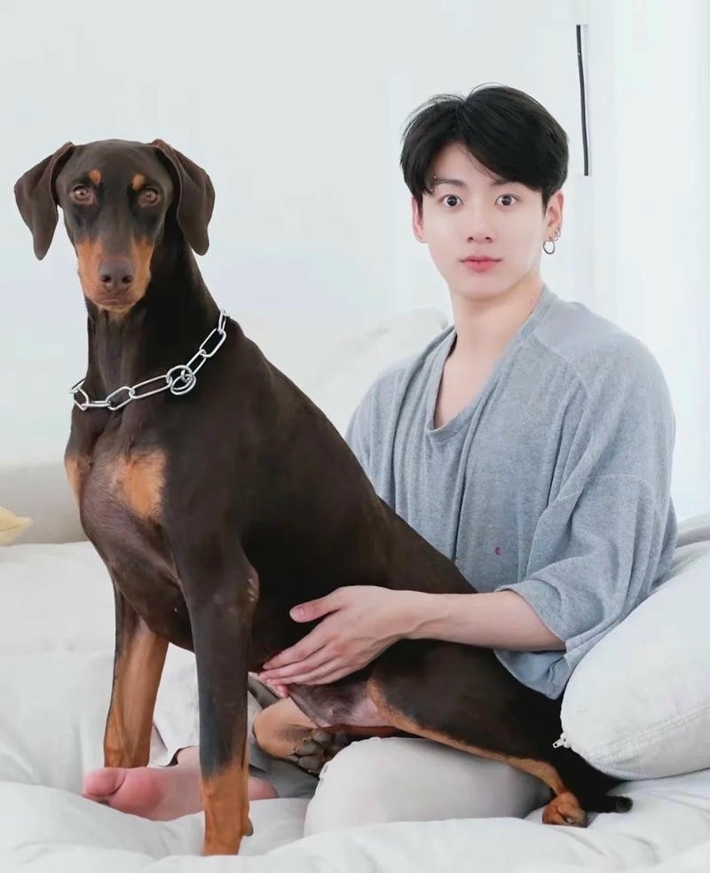 Loạt ảnh jungkook chất lượng