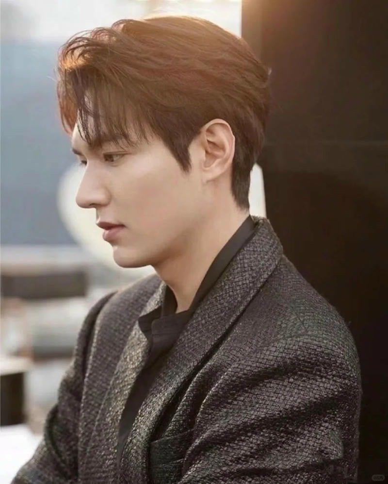 Ngắm ảnh lee min ho miễn phí