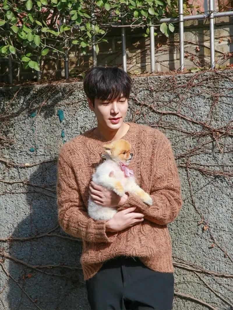 Tải ảnh lee min ho mới