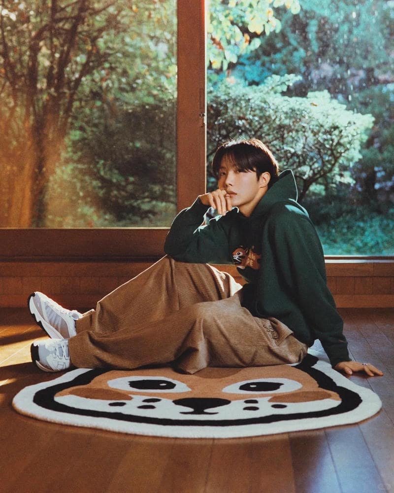 Tổng hợp ảnh j-hope chất lượng