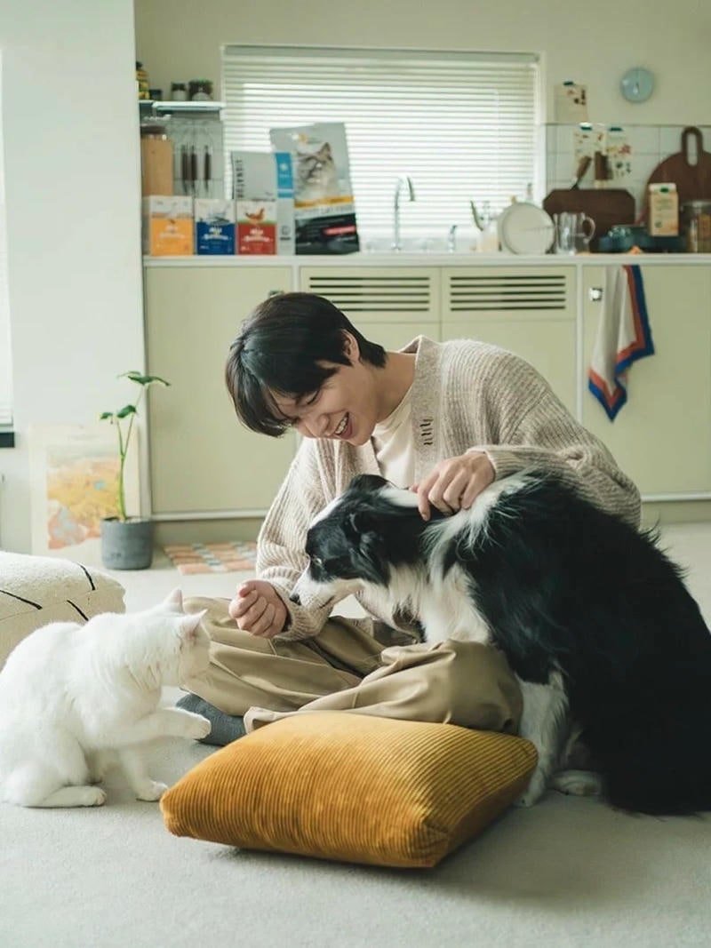 Xem bộ hình ảnh lee min ho miễn phí