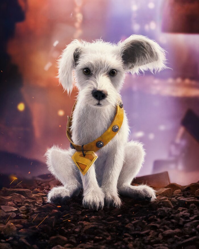 hình nền 4k cho điện thoại con chó