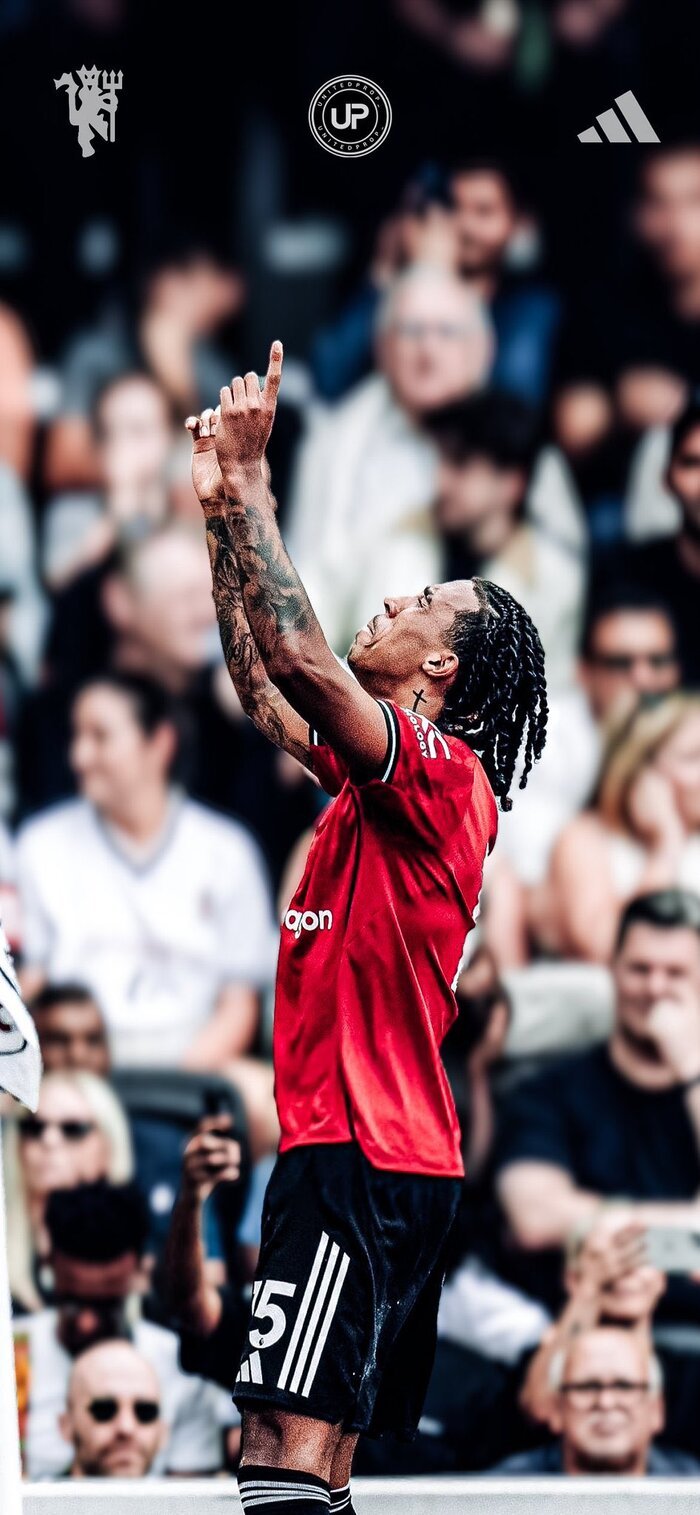 hình nền bóng đá world cup