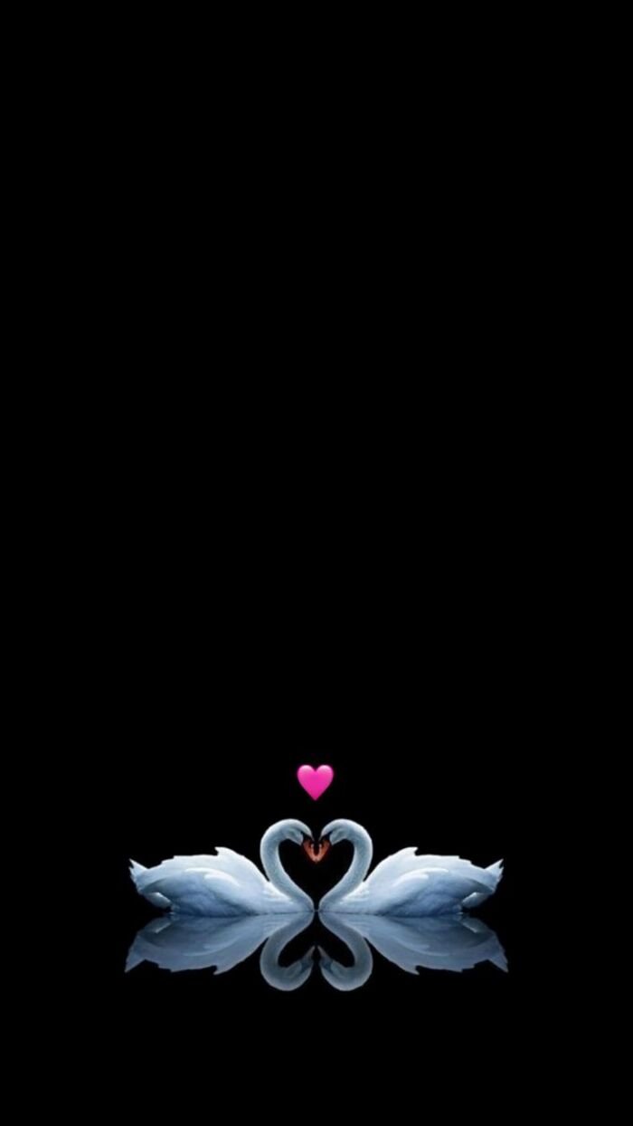 hình nền đen làm hình nền