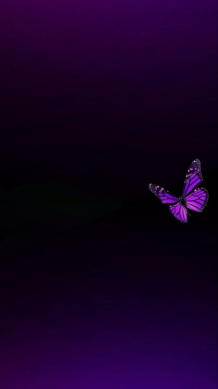 hình nền đơn giản miễn phí đẹp