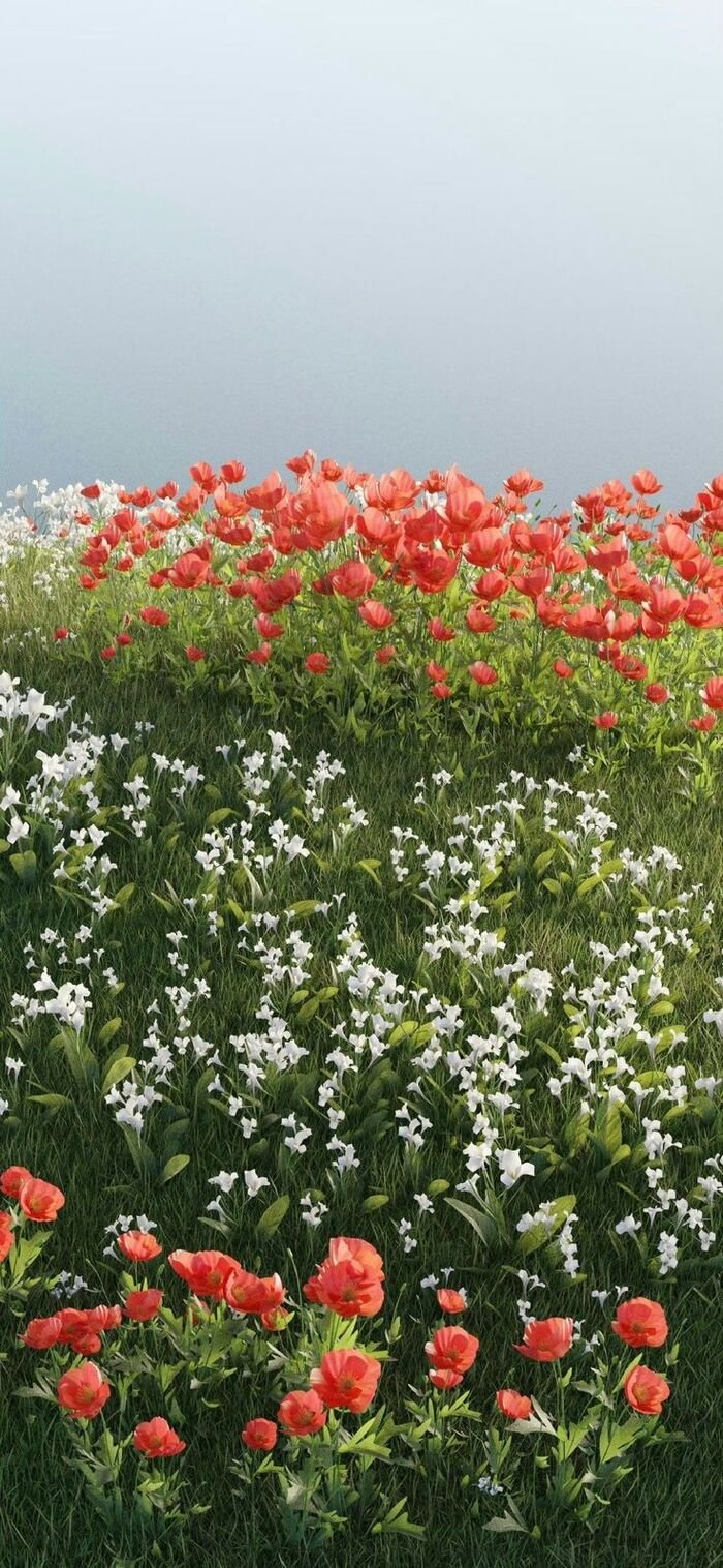 hình nền hoa hướng dương