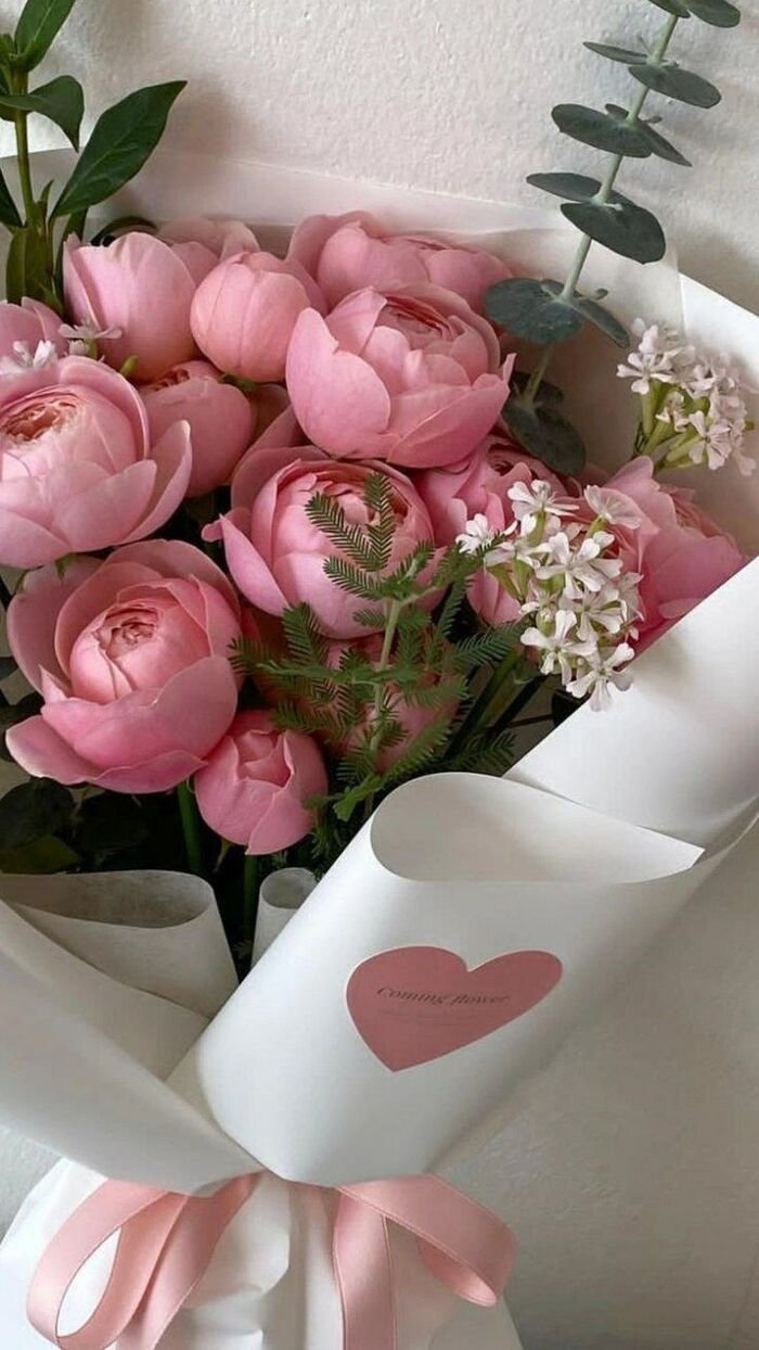 hình nền hoa mẫu đơn pastel