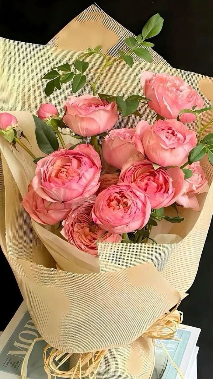 hình nền hoa mẫu đơn phổ biến