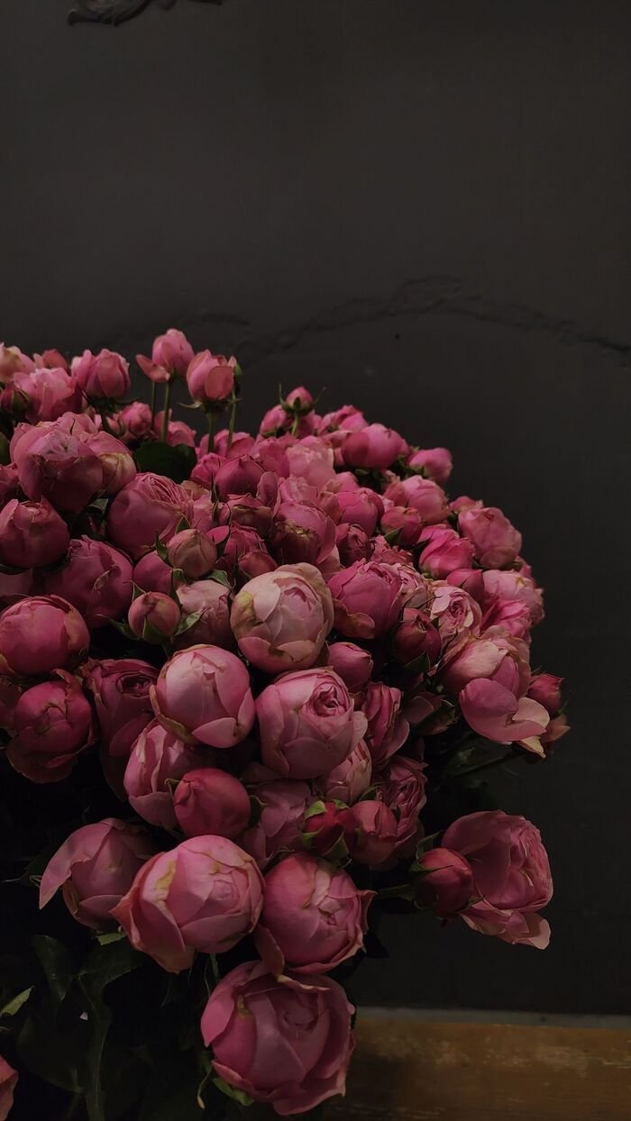 hình nền hoa mẫu đơn sang trọn