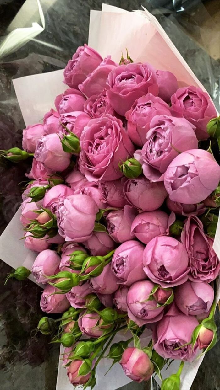 hình nền hoa mẫu đơn xu hướng mới