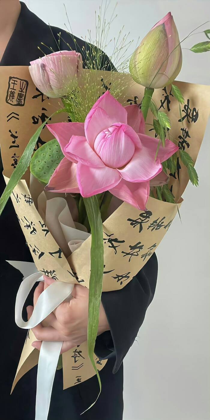 hình nền hoa sen cho điện thoại iphone