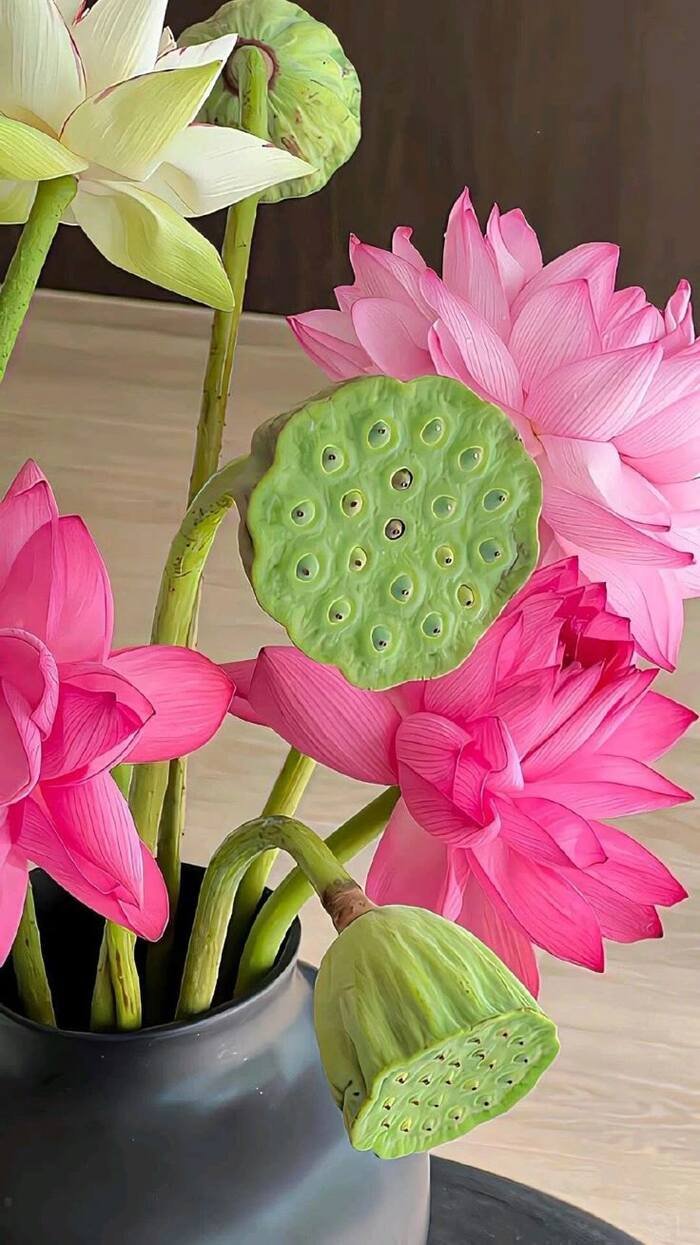 hình nền hoa sen thanh tịnh