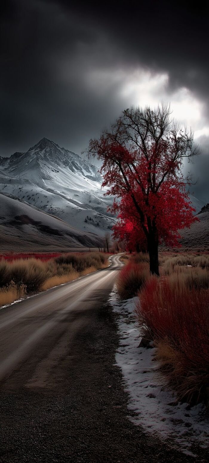 hình nền ios 18 chính thức