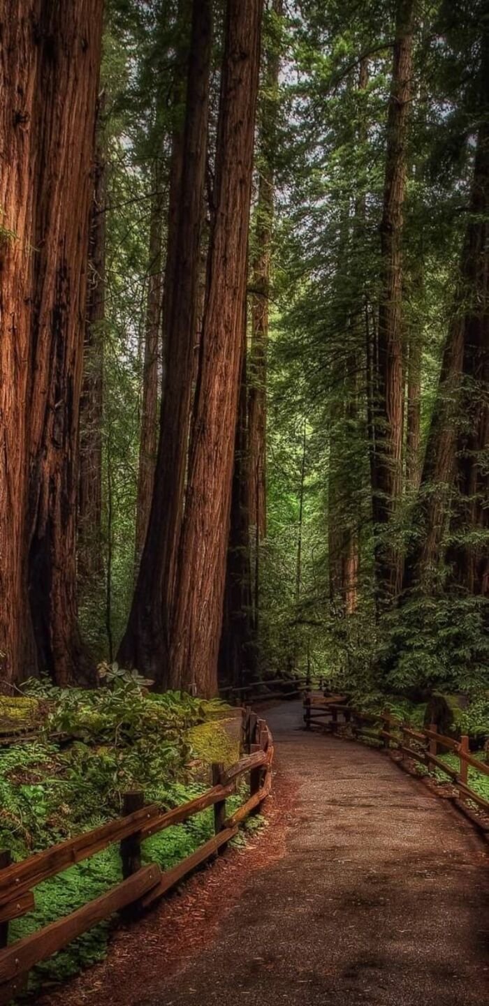 hình nền iphone 16 đẹp ngầu