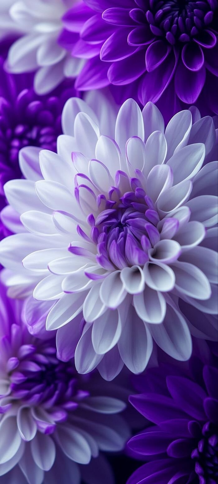 hình nền iphone 16 nền đen