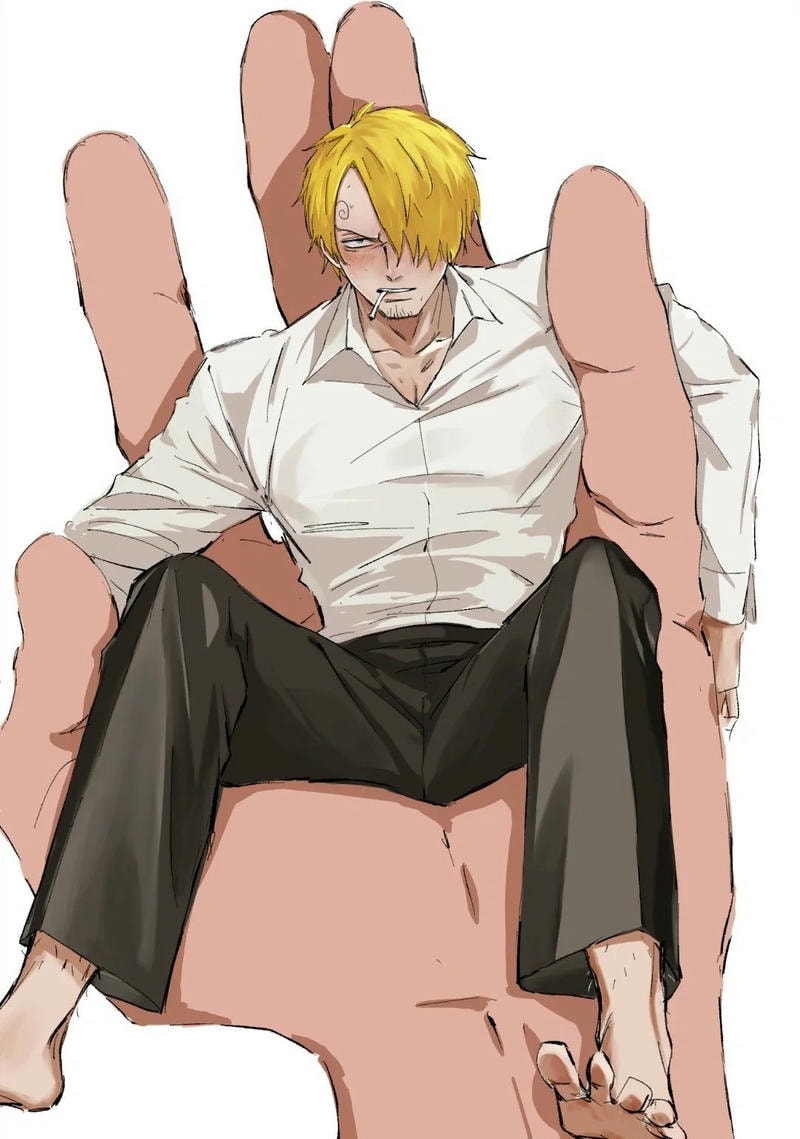 ảnh one piece sanji hắc cước