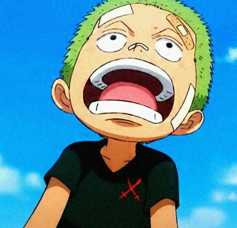 ảnh roronoa zoro chibi đáng yêu