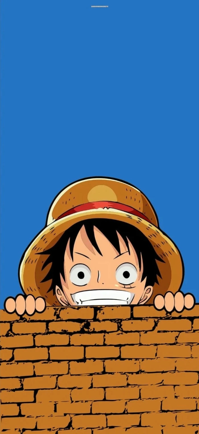 hinh luffy