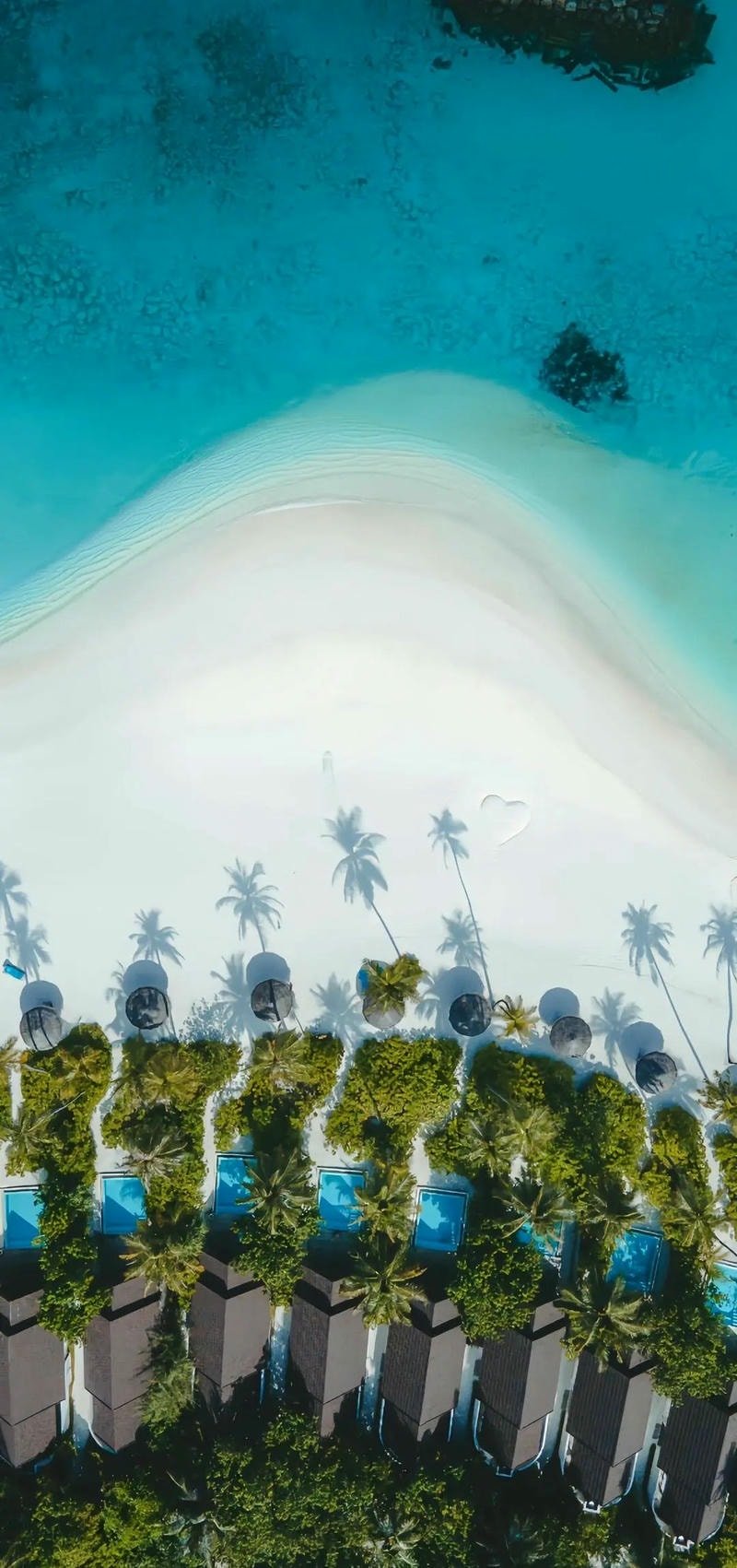 hình nền điện thoại biển