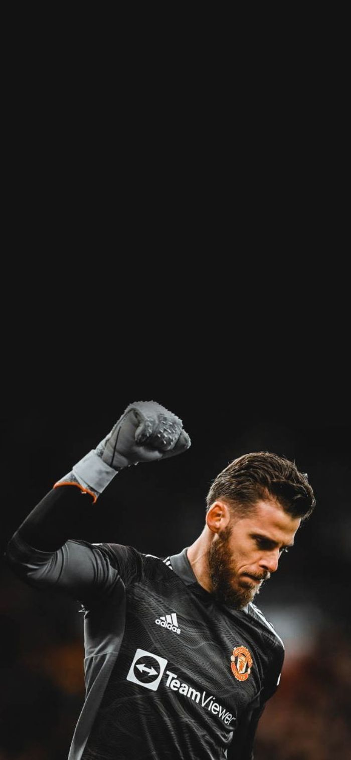 ảnh nền de gea