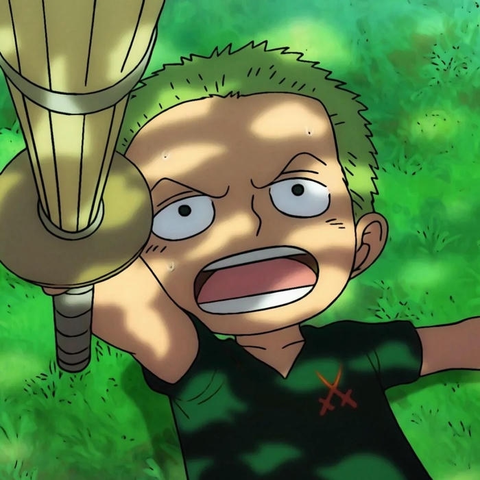 ảnh zoro cute