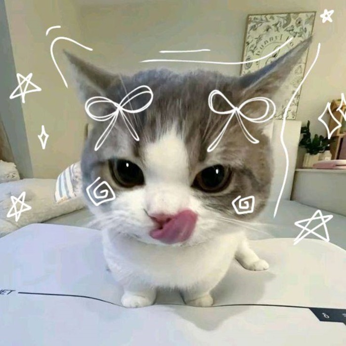 hình ảnh cute avatar vô tri