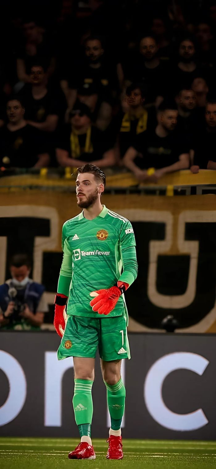 hình nền bóng đá de gea đẹp