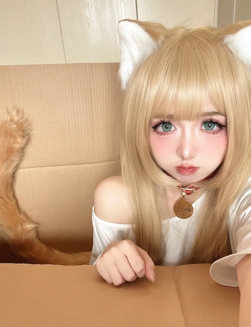 mèo cosplay anime