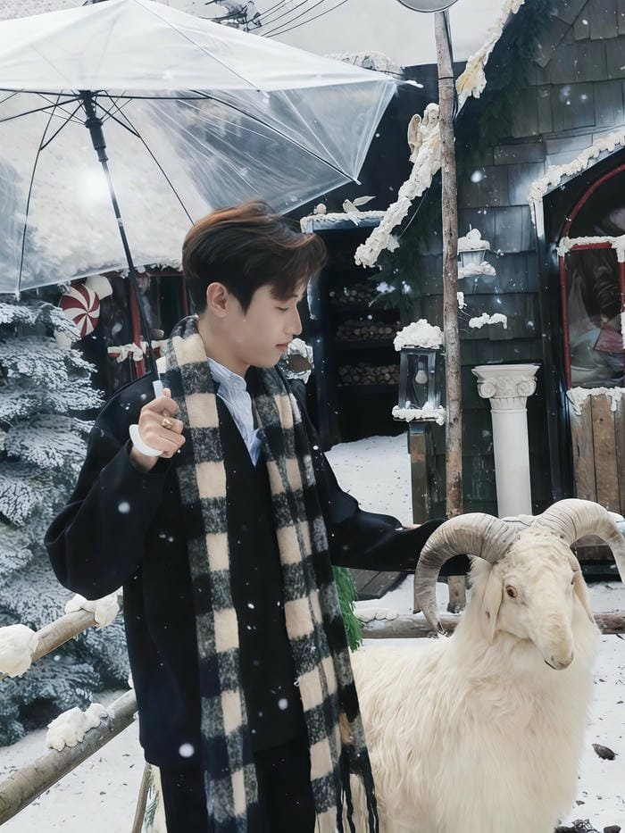 chân dung trai đẹp 2k11