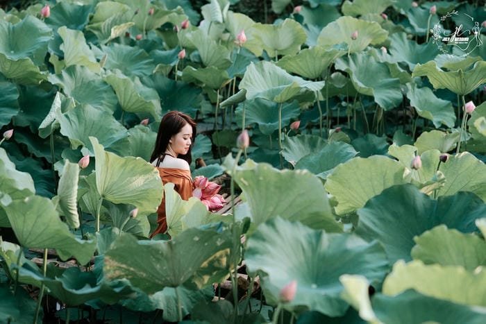 gái xinh đầm sen cực nét