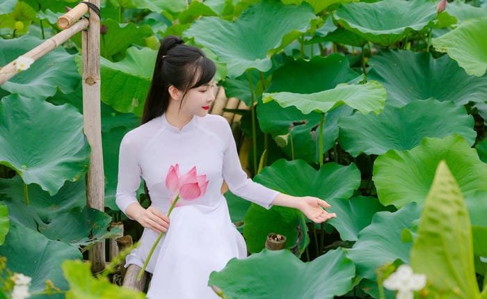 gái xinh đầm sen xịn